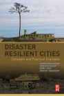 Image for Disaster Resilient Cities