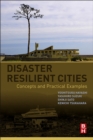 Image for Disaster resilient cities: concepts and practical examples