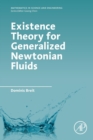 Image for Existence theory for generalized Newtonian fluids