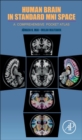 Image for Human brain in standard MNI space  : a comprehensive pocket atlas