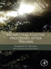 Image for Promoting Positive Processes after Trauma