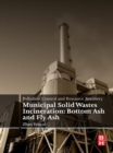 Image for Pollution control and resource recovery: municipal solid wastes incineration : bottom ash and fly ash