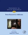 Image for Brain research in addiction
