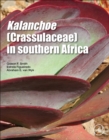 Image for Kalanchoe (crassulaceae) in Southern Africa  : classification, biology, and cultivation