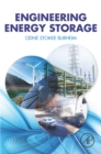 Image for Engineering energy storage