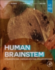 Image for Human Brainstem