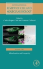 Image for Mitochondria and Longevity : Volume 340
