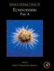 Image for Echinoderms