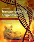 Image for Transgenerational epigenetics : Volume 13