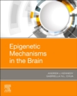 Image for Epigenetic Mechanisms in the Brain