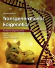 Image for Transgenerational epigenetics