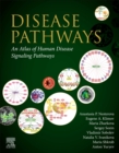 Image for Disease pathways  : an atlas of human disease signaling pathways