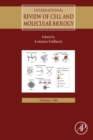 Image for International review of cell and molecular biology. : Volume 346