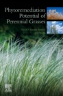 Image for Phytoremediation Potential of Perennial Grasses