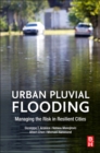 Image for Urban Pluvial Flooding