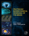 Image for Multiscale Biomechanical Modeling of the Brain
