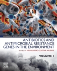 Image for Antibiotics and antimicrobial resistance genes in the environment : 1