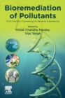 Image for Bioremediation of pollutants  : from genetic engineering to genome engineering