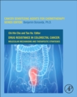 Image for Drug resistance in colorectal cancer  : molecular mechanisms and therapeutic strategies : Volume 8