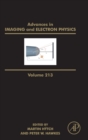 Image for Advances in Imaging and Electron Physics : Volume 213