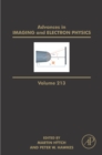 Image for Advances in Imaging and Electron Physics. : Volume 213.