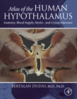 Image for Atlas of the Human Hypothalamus: Anatomy, Blood Supply, Myelo-, and Cytoarchitecture
