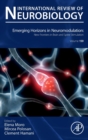 Image for Emerging Horizons in Neuromodulation: New Frontiers in Brain and Spine Stimulation