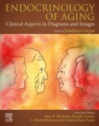 Image for Endocrinology of Aging: Clinical Aspects in Diagrams and Images