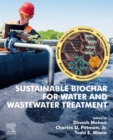 Image for Sustainable Biochar for Water and Wastewater Treatment