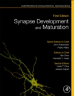 Image for Synapse Development and Maturation : Comprehensive Developmental Neuroscience