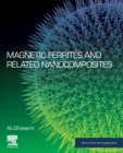 Image for Magnetic Ferrites and Related Nanocomposites