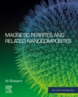 Image for Magnetic Ferrites and Related Nanocomposites