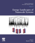 Image for Energy landscapes of nanoscale systems : Volume 21