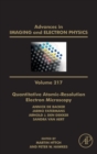 Image for Quantitative atomic-resolution electron microscopy : Volume 217