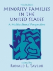 Image for Minority Families in the United States : A Multicultural Perspective