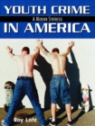 Image for Youth Crime in America