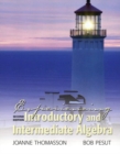 Image for Experiencing Introductory and Intermediate Algebra
