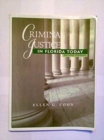 Image for Criminal Justice in Florida Today : An Introductory Text for the 21st Century