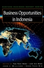 Image for Business Opportunities in Indonesia