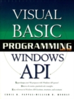 Image for Visual Basic programming with the Windows API