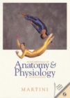 Image for Fundamentals of Anatomy and Physiology &amp; Applications Manual &amp; Interactive Media Edition Package
