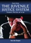 Image for The Juvenile Justice System : Delinquency, Processing and the Law