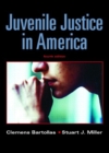 Image for Juvenile Justice in America