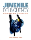 Image for Juvenile Delinquency : Mainstream and Crosscurrents