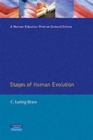 Image for Stages of Human Evolution