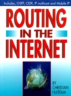 Image for Routing in the Internet