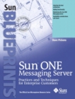 Image for Sun ONE Messaging Server  : practices and techniques for enterprise customers