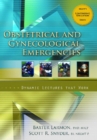 Image for Dynamic Lectures That Work : Obstetrical and Gynecological Emergencies