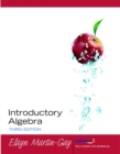Image for Introductory algebra
