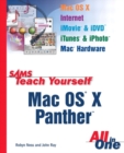 Image for Sams teach yourself Mac OS X Panther all in one